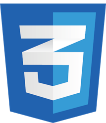 CSS logo